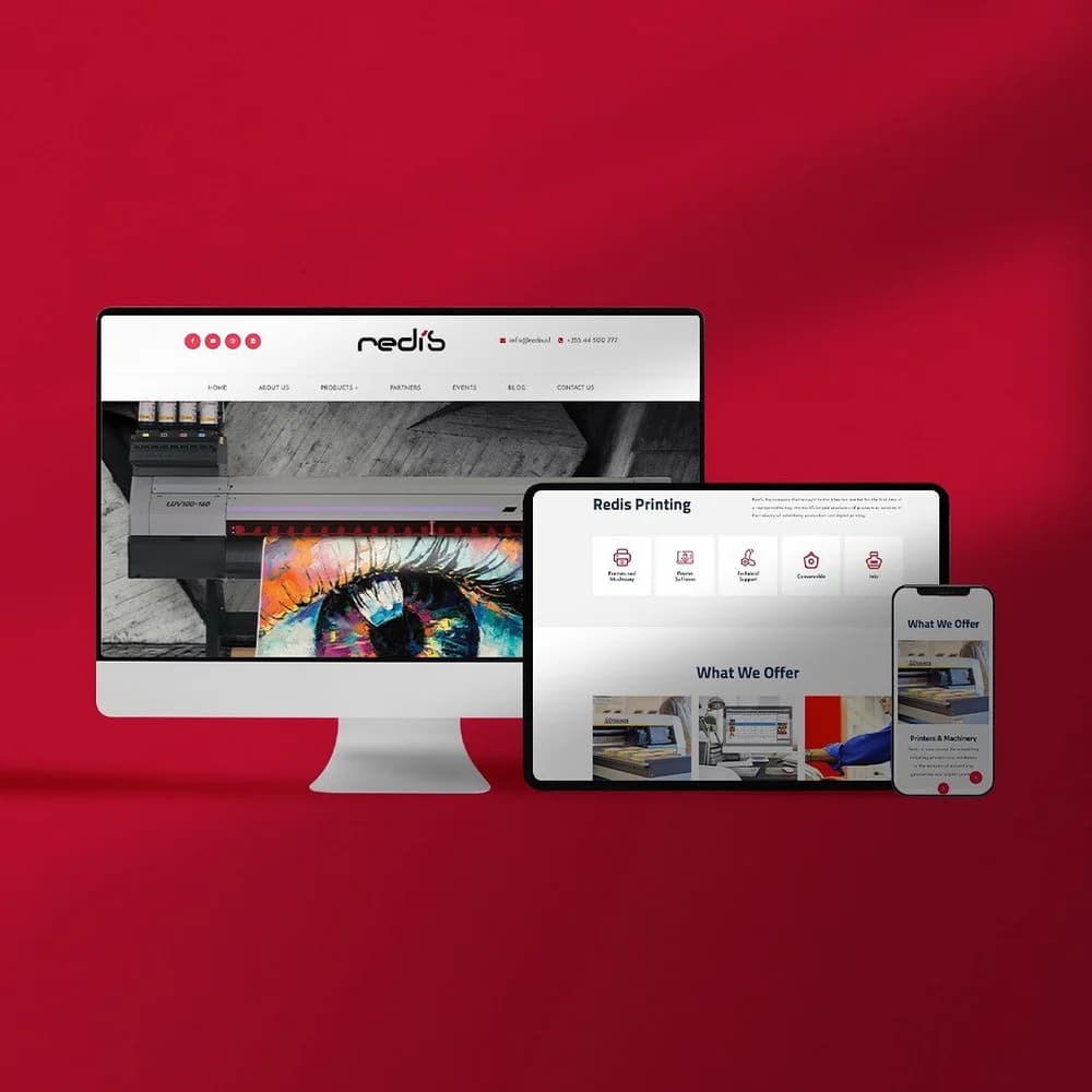 Prezantimi i projektit Redis Printing